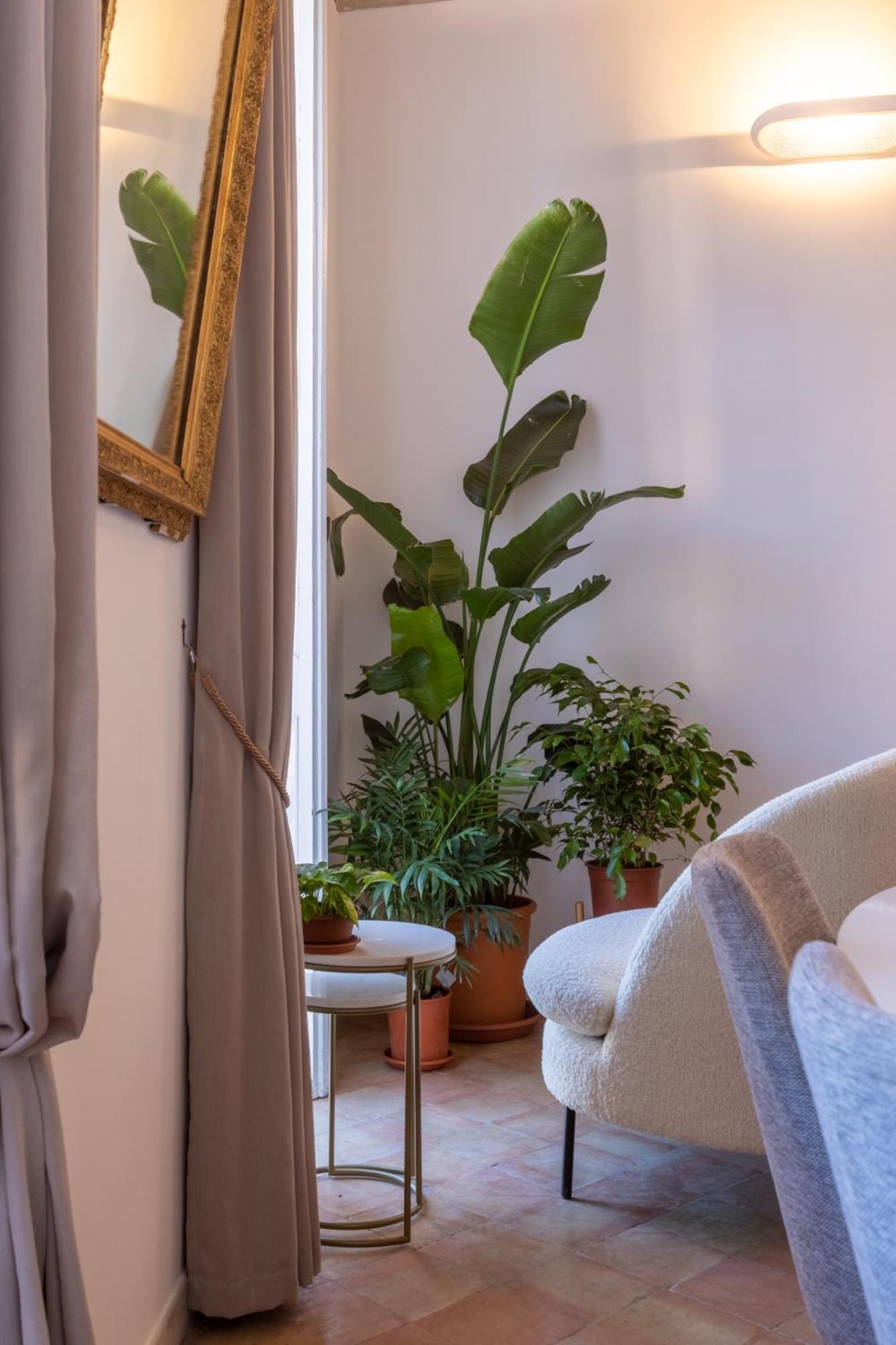 Suite Navona Ρώμη Εξωτερικό φωτογραφία